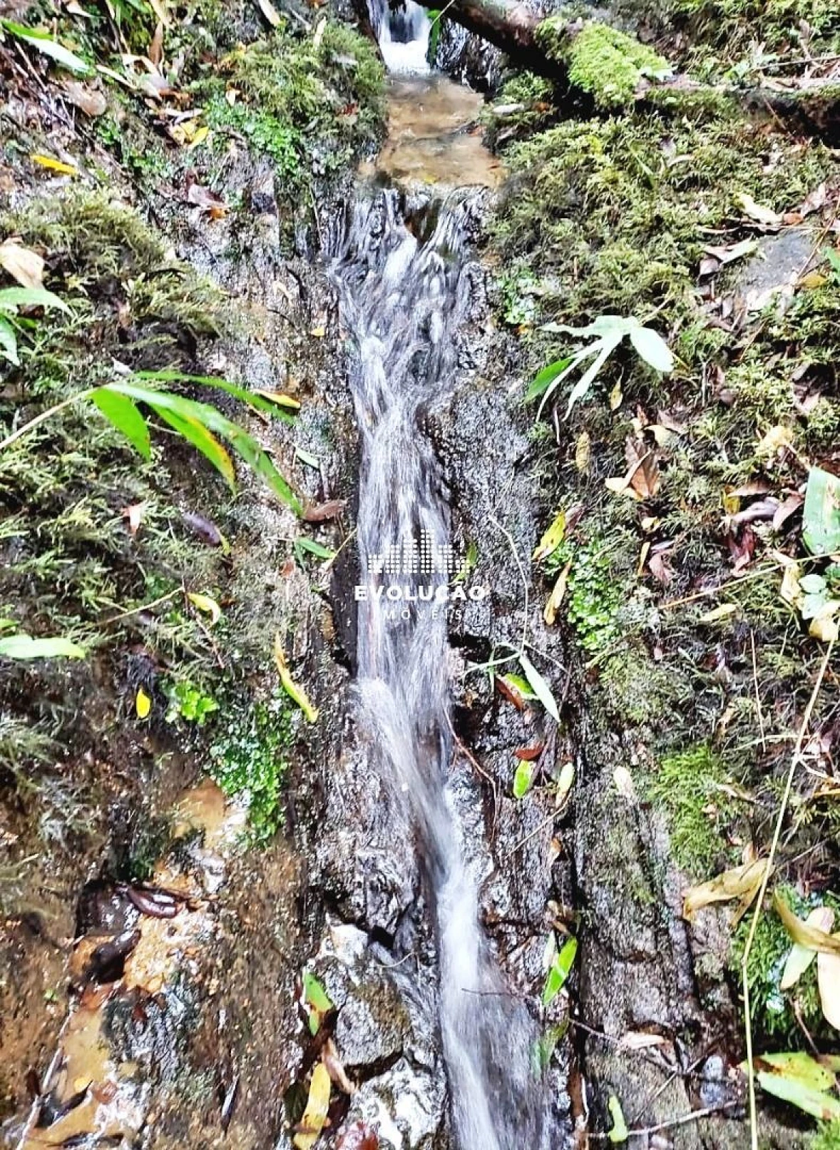 Sítio em Centro, Anitápolis