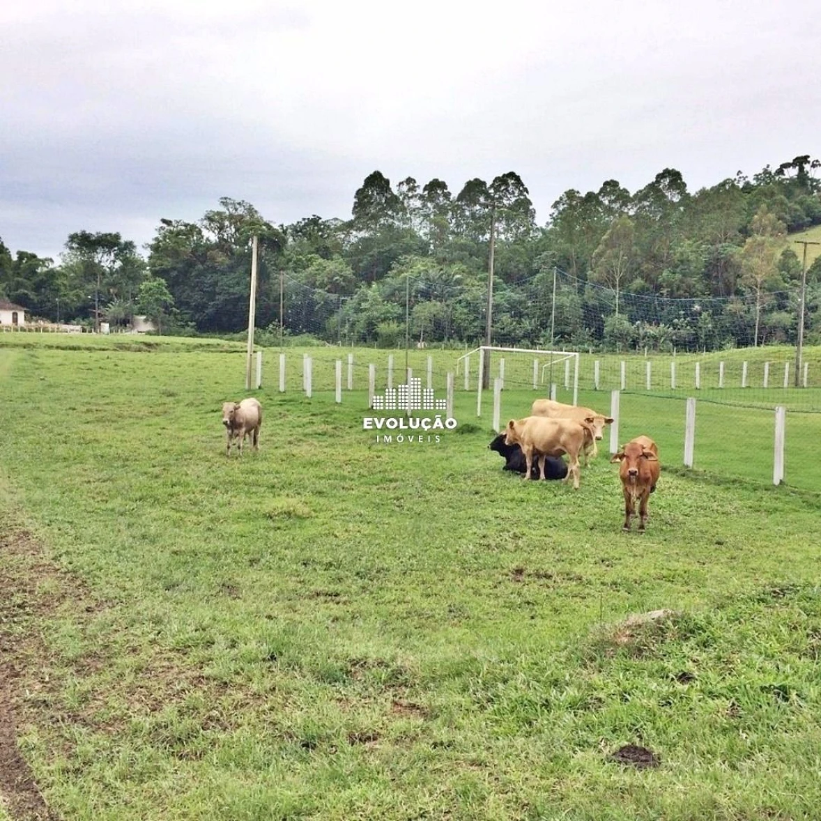 Sítio Pertinho da Cidade - Santo Amaro da Imperatriz, Grande Florianópolis/SC. - Foto 12