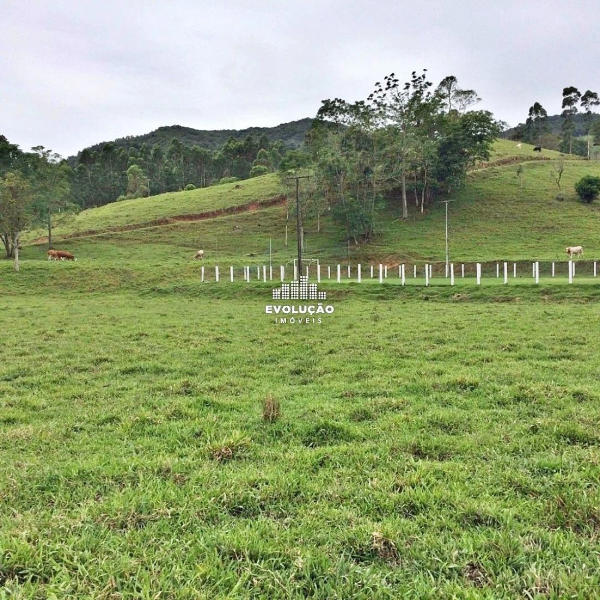 Sítio Pertinho da Cidade - Santo Amaro da Imperatriz, Grande Florianópolis/SC. - Foto 14