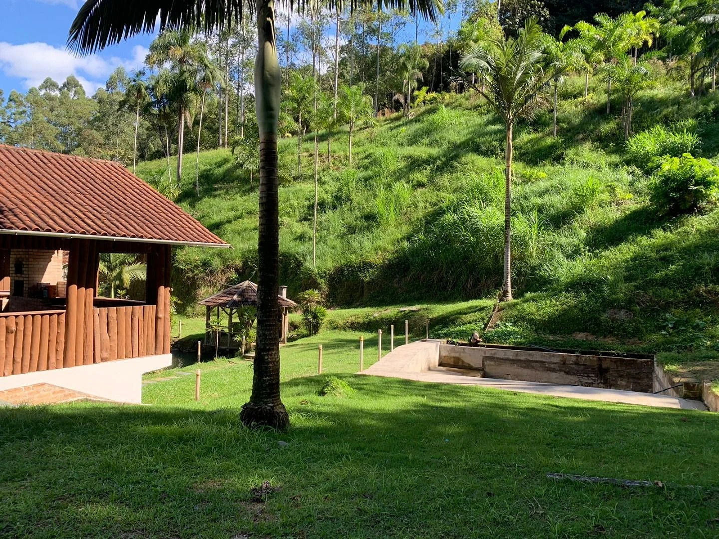 Sítio a Venda - Vargem Grande - Águas Mornas/SC. - Foto 6