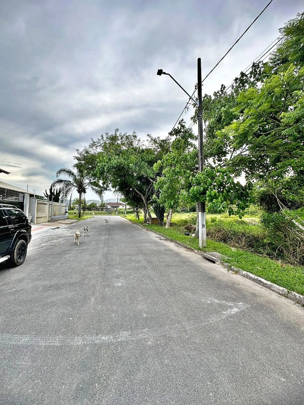 Terreno à Venda, 360 m² por R$ 290.000,00 - Morro da Bina - Biguaçu/SC - Foto 7