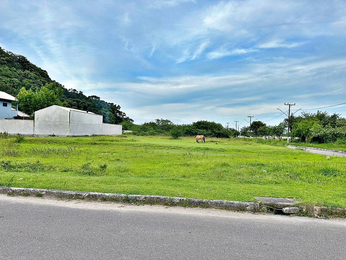 Terreno à Venda, 451 m² por R$ 380.000,00 - Morro da Bina - Biguaçu/SC - Foto 7