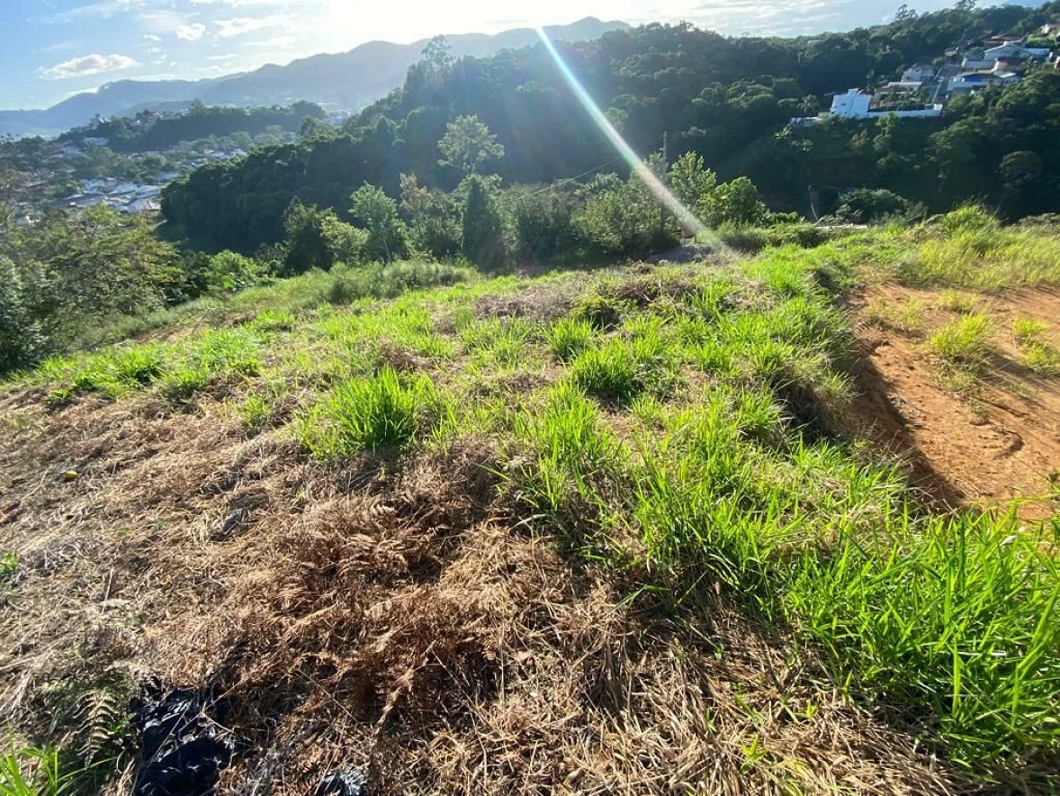 Terreno à Venda - Santo Amaro da Imperatriz/SC - Foto 7