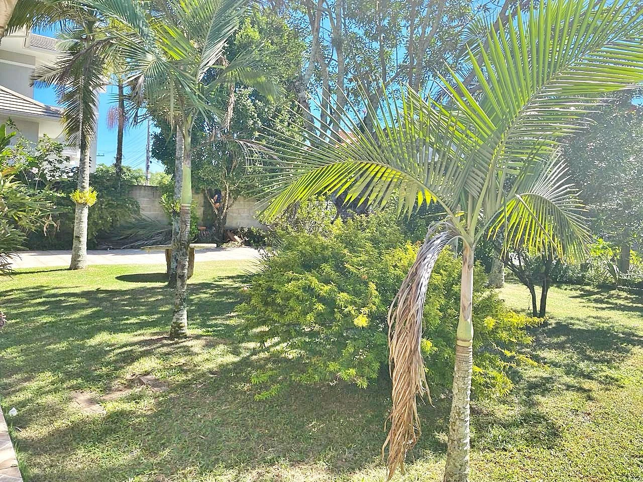 Casa com 4 Dormitórios -Perto da Praia - Campeche - Florianópolis/SC - Foto 13