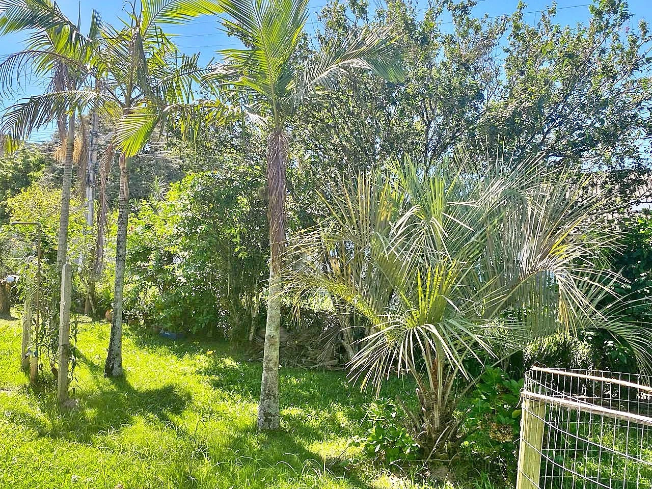 Casa com 4 Dormitórios -Perto da Praia - Campeche - Florianópolis/SC - Foto 14