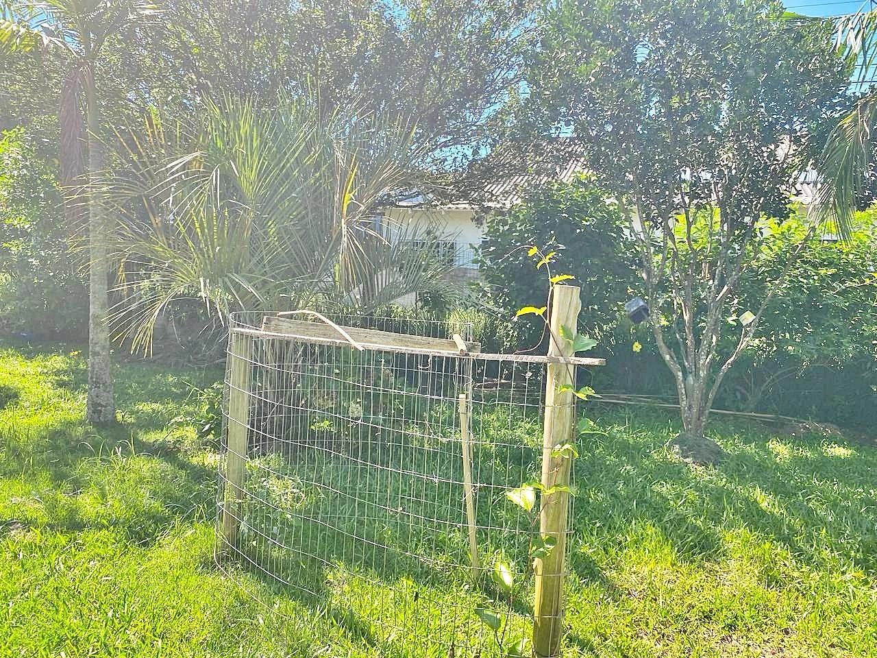 Casa com 4 Dormitórios -Perto da Praia - Campeche - Florianópolis/SC - Foto 15