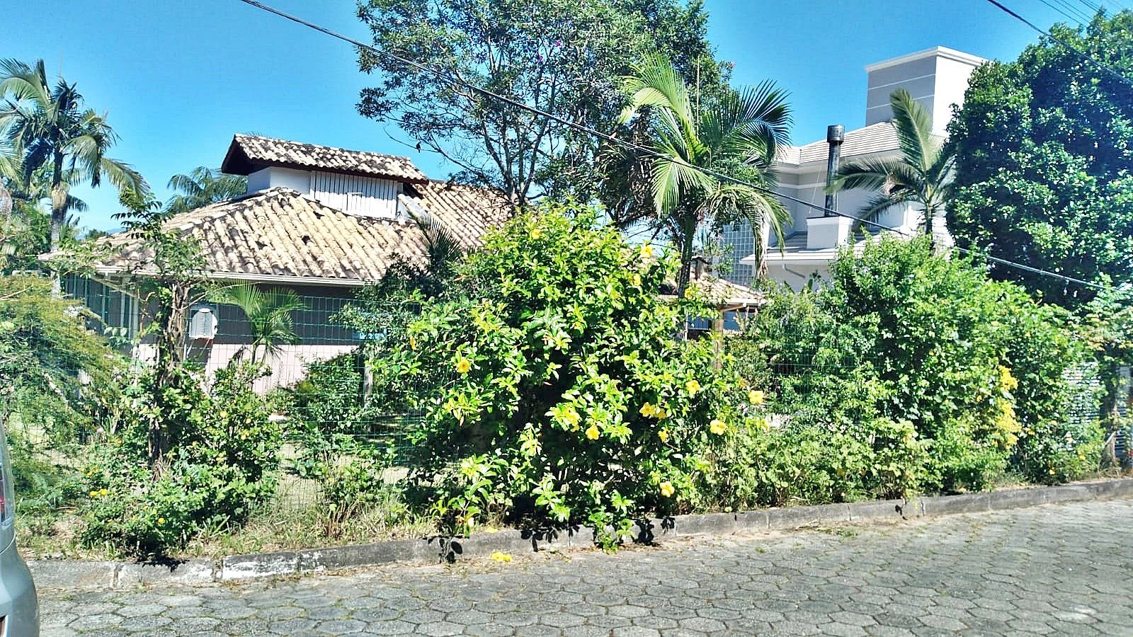 Casa com 4 Dormitórios -Perto da Praia - Campeche - Florianópolis/SC - Foto 19