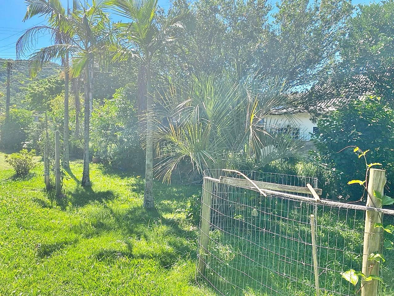 Casa com 4 Dormitórios -Perto da Praia - Campeche - Florianópolis/SC - Foto 22