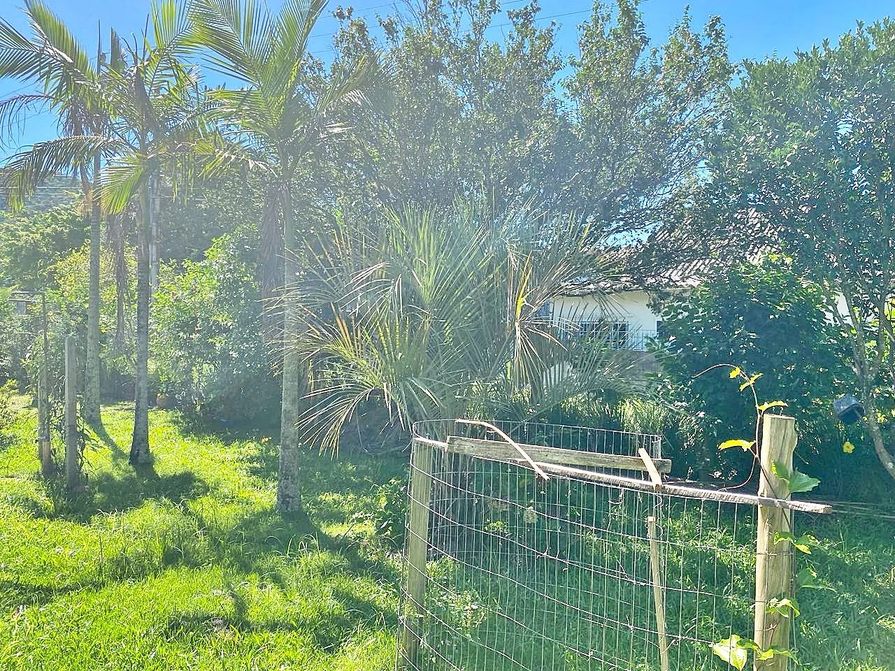 Casa com 4 Dormitórios -Perto da Praia - Campeche - Florianópolis/SC - Foto 23