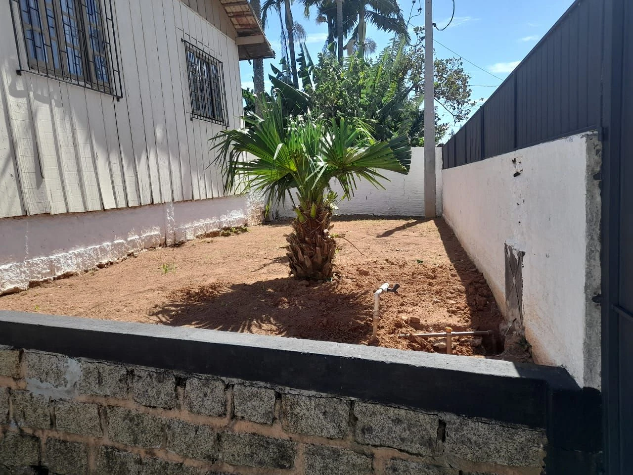 Terreno à Venda - Jardim Atlântico - Florianópolis/SC - Foto 10