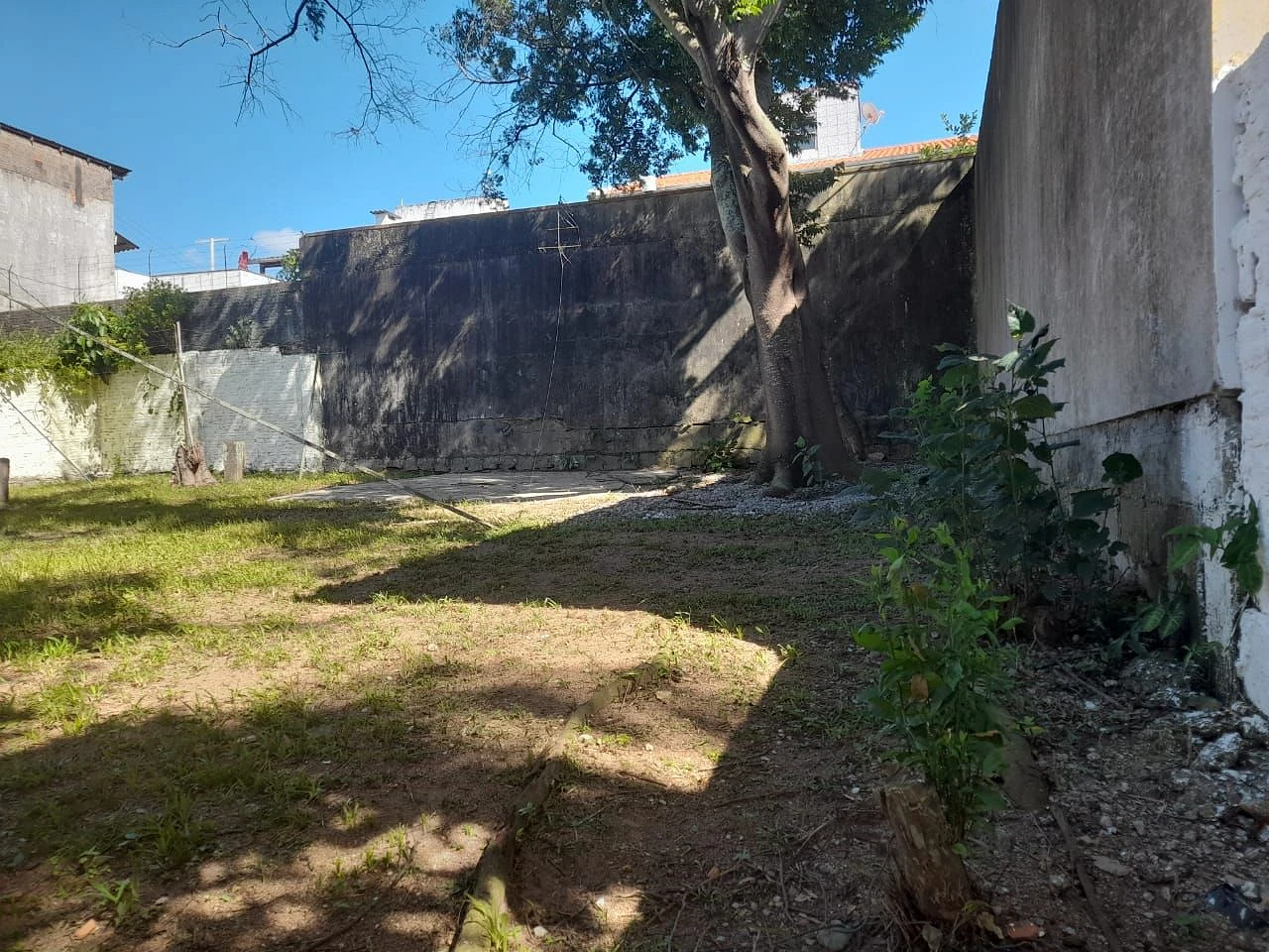 Terreno à Venda - Jardim Atlântico - Florianópolis/SC - Foto 7