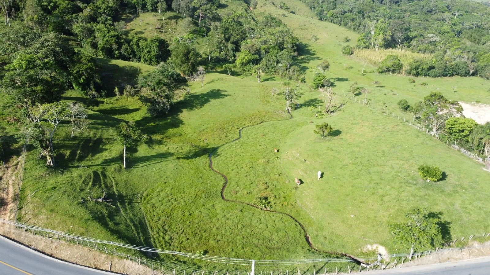 Terreno à Venda com 141.947 m² - Forquilhas - São José/SC - Foto 13