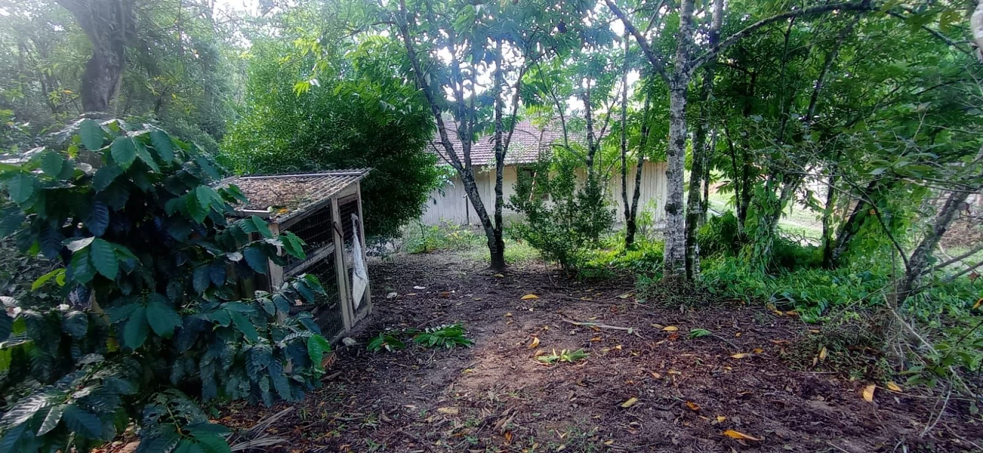 Sítio com 4 Dormitórios à Venda, 8126 m² por R$ 590.000,00 - Pagará - Santo Amaro da Imperatriz/SC - Foto 17