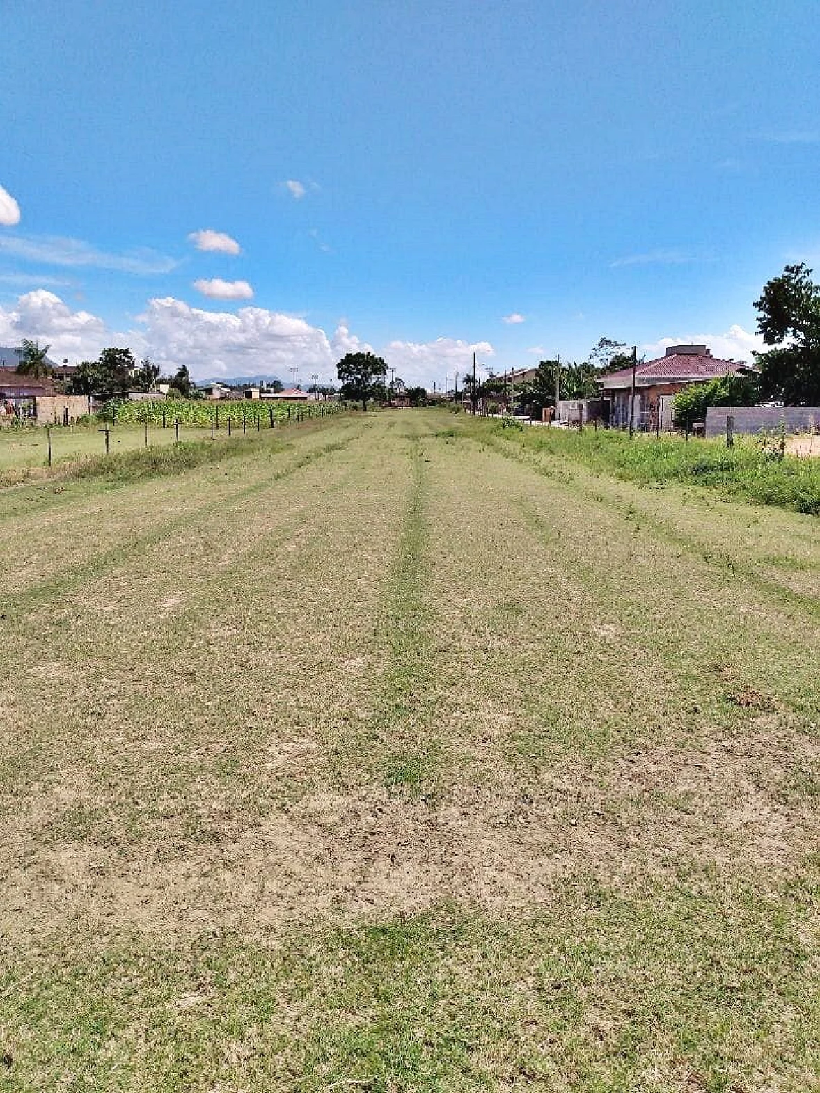 Terreno em Guarda do Cubatão, Palhoça