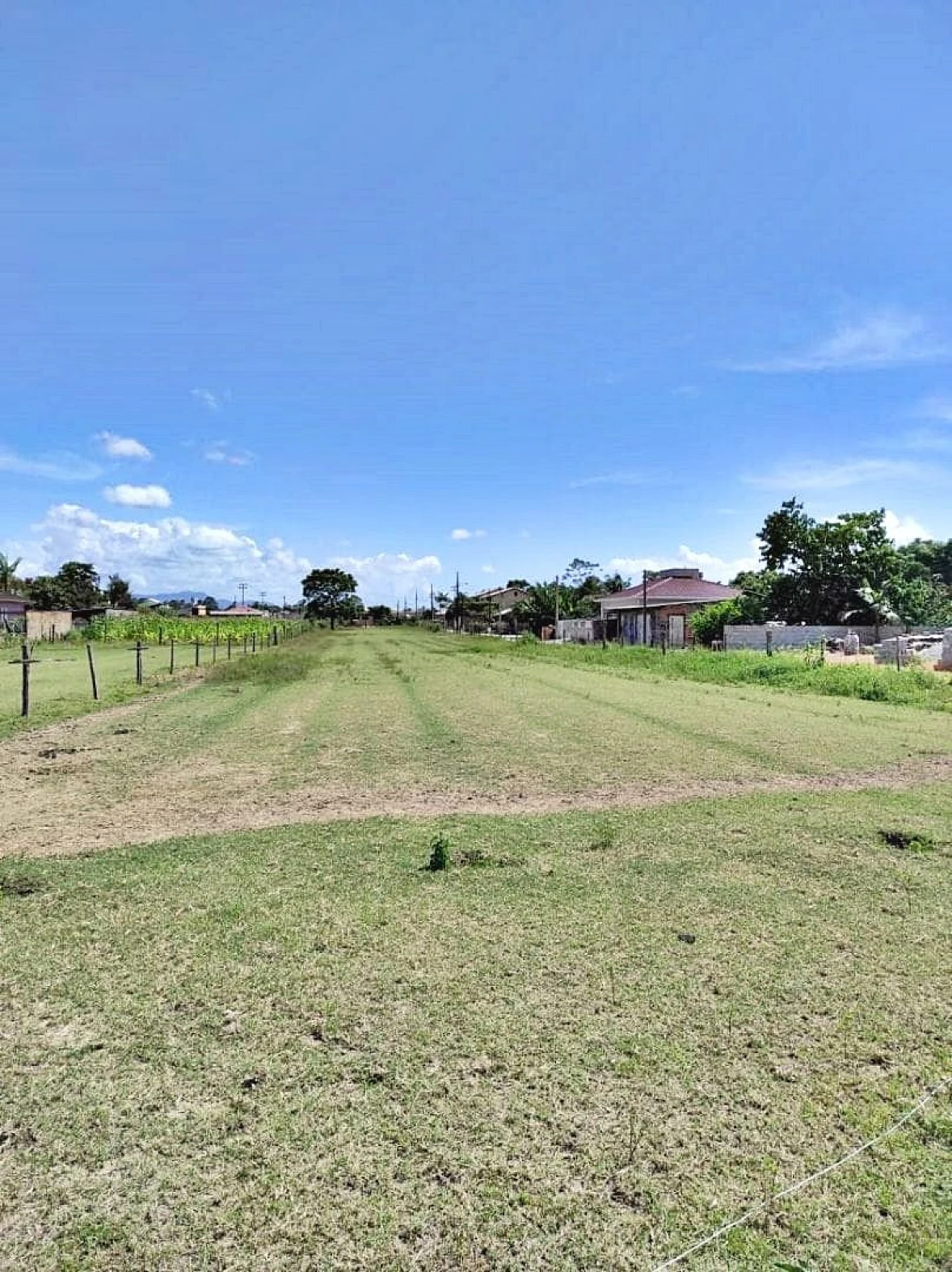 Terreno em Guarda do Cubatão, Palhoça