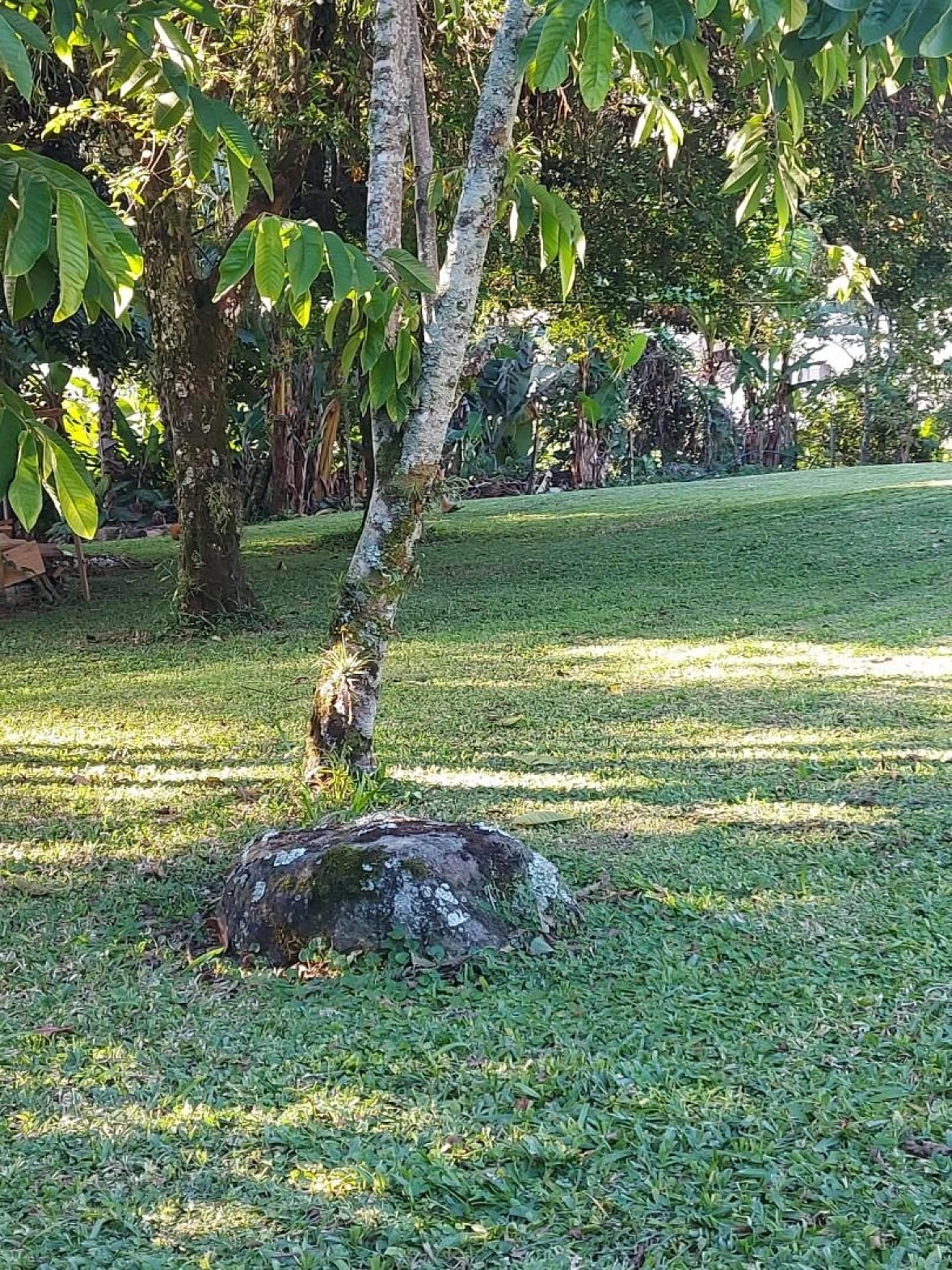 Terreno à Venda - Ponta de Baixo - São José/SC.. - Foto 15