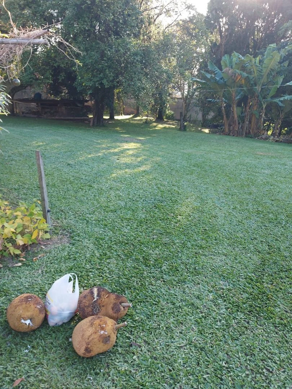 Terreno em Ponta de Baixo, São José