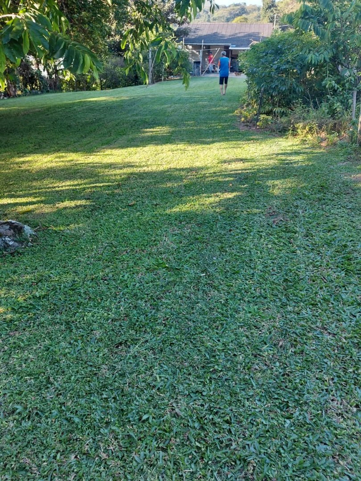 Terreno à Venda - Ponta de Baixo - São José/SC.. - Foto 7