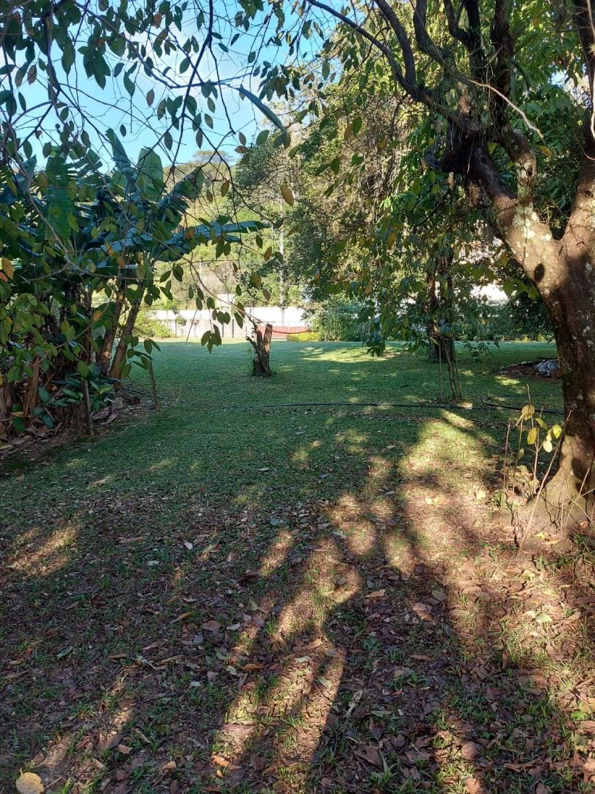 Terreno à Venda - Ponta de Baixo - São José/SC.. - Foto 8