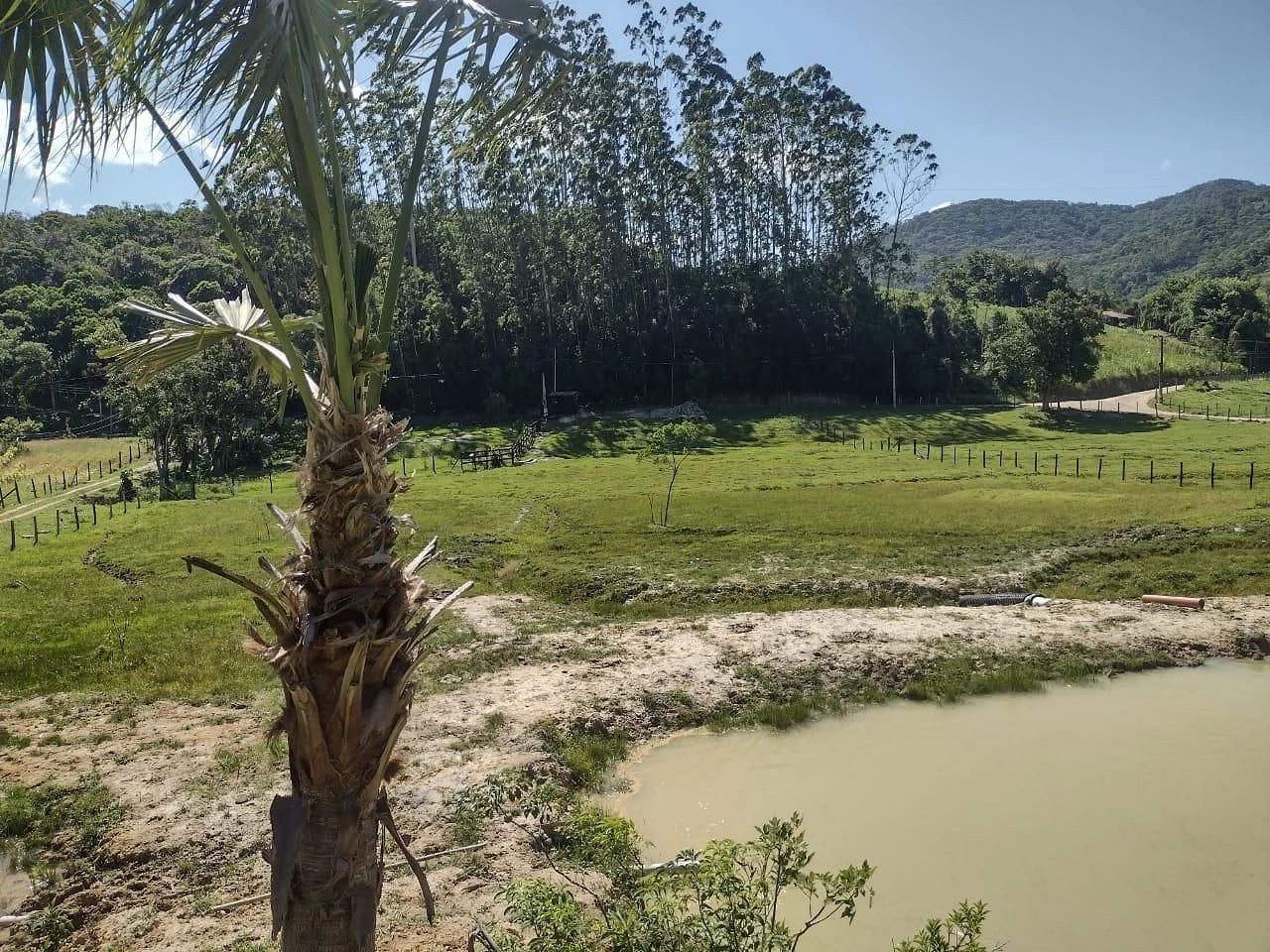 Sítio em Três Riachos, Biguaçu
