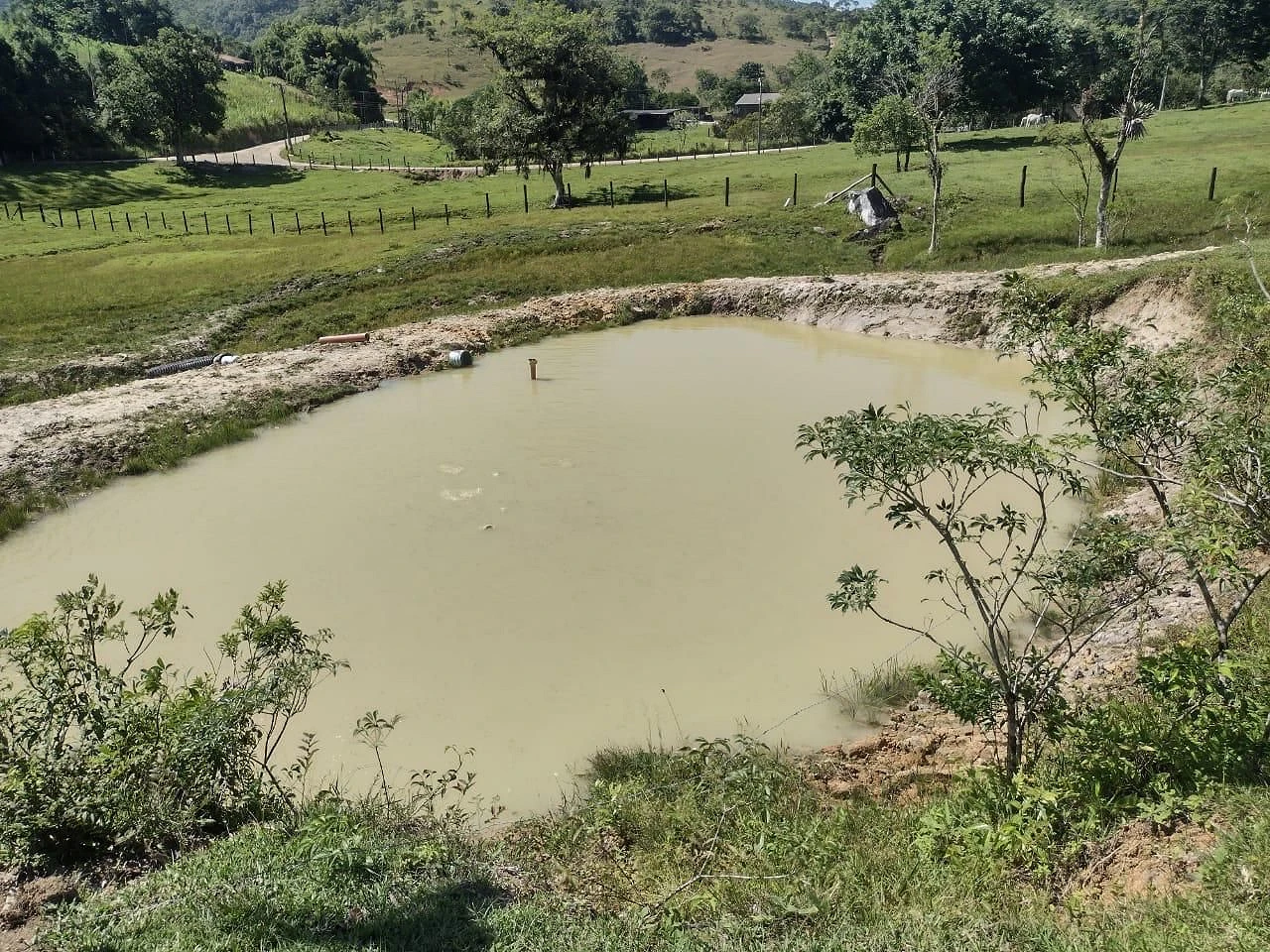 Sítio à Venda - Fazenda - Biguaçu/SC - Foto 15
