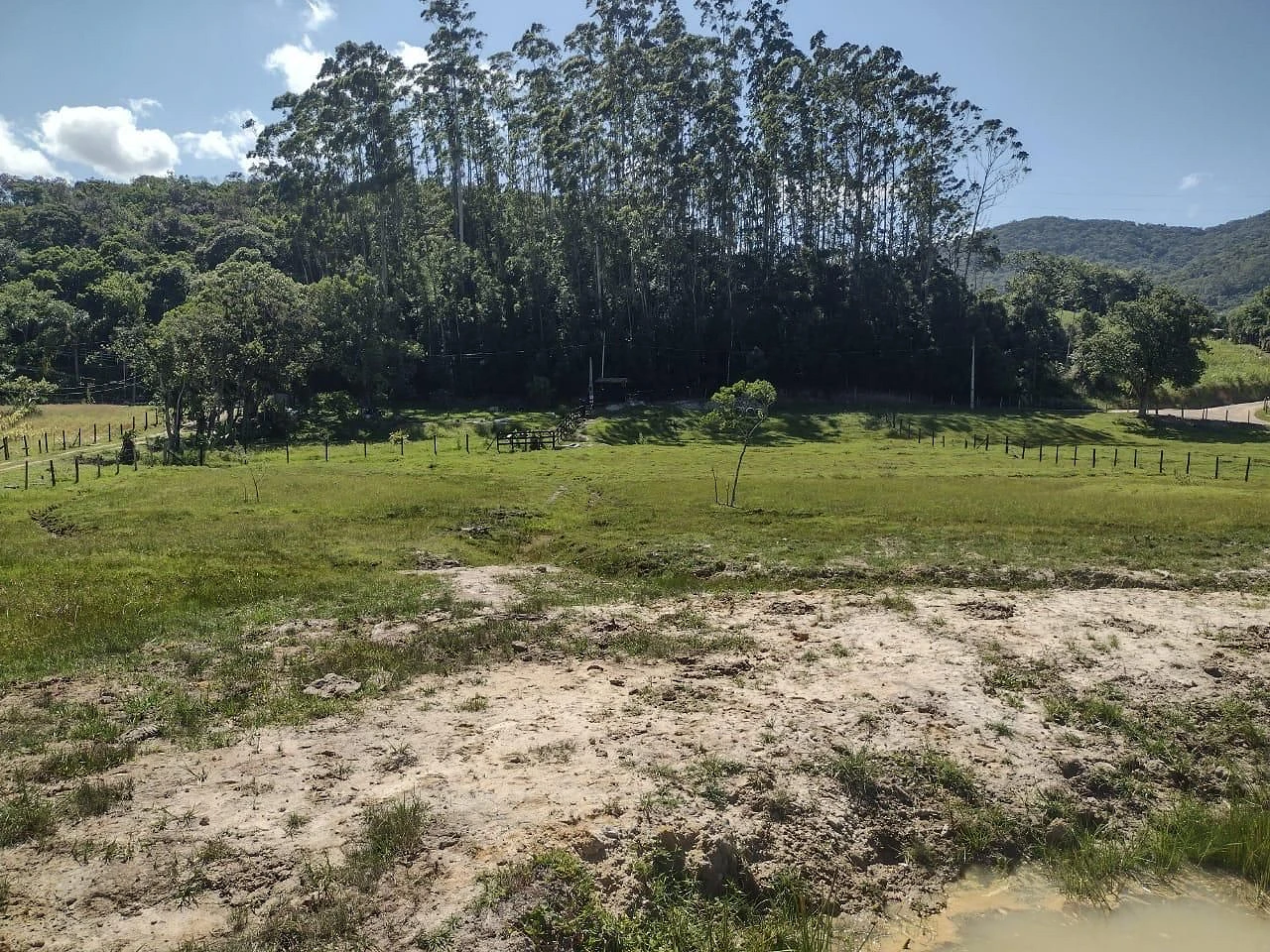 Sítio à Venda - Fazenda - Biguaçu/SC - Foto 6