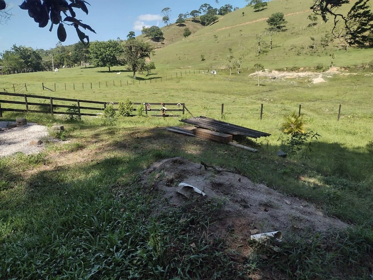 Sítio à Venda - Fazenda - Biguaçu/SC - Foto 8