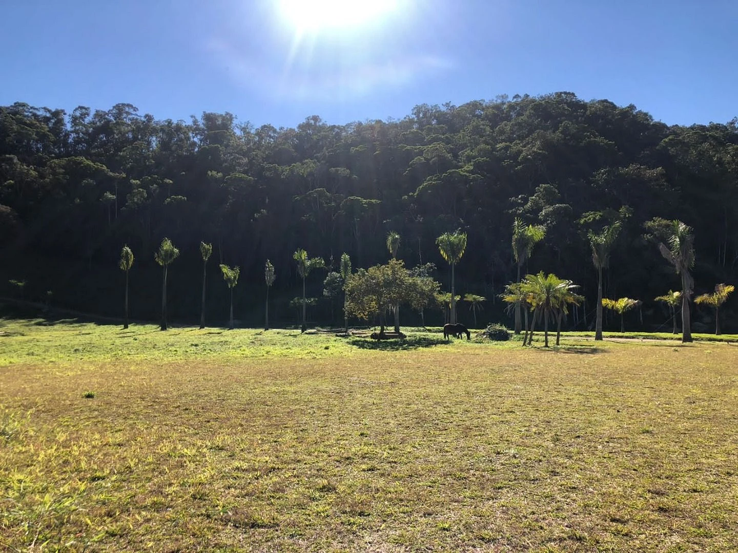 Terreno à Venda - São João Batista - São João Batista/SC - Foto 12