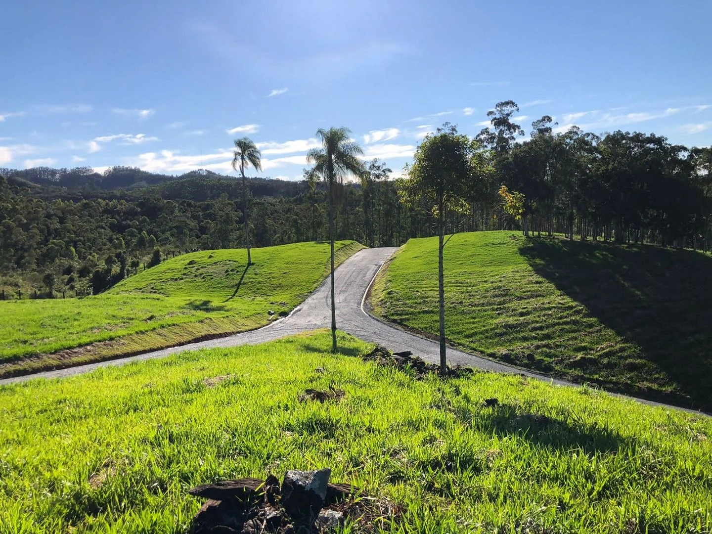 Terreno à Venda - São João Batista - São João Batista/SC - Foto 17