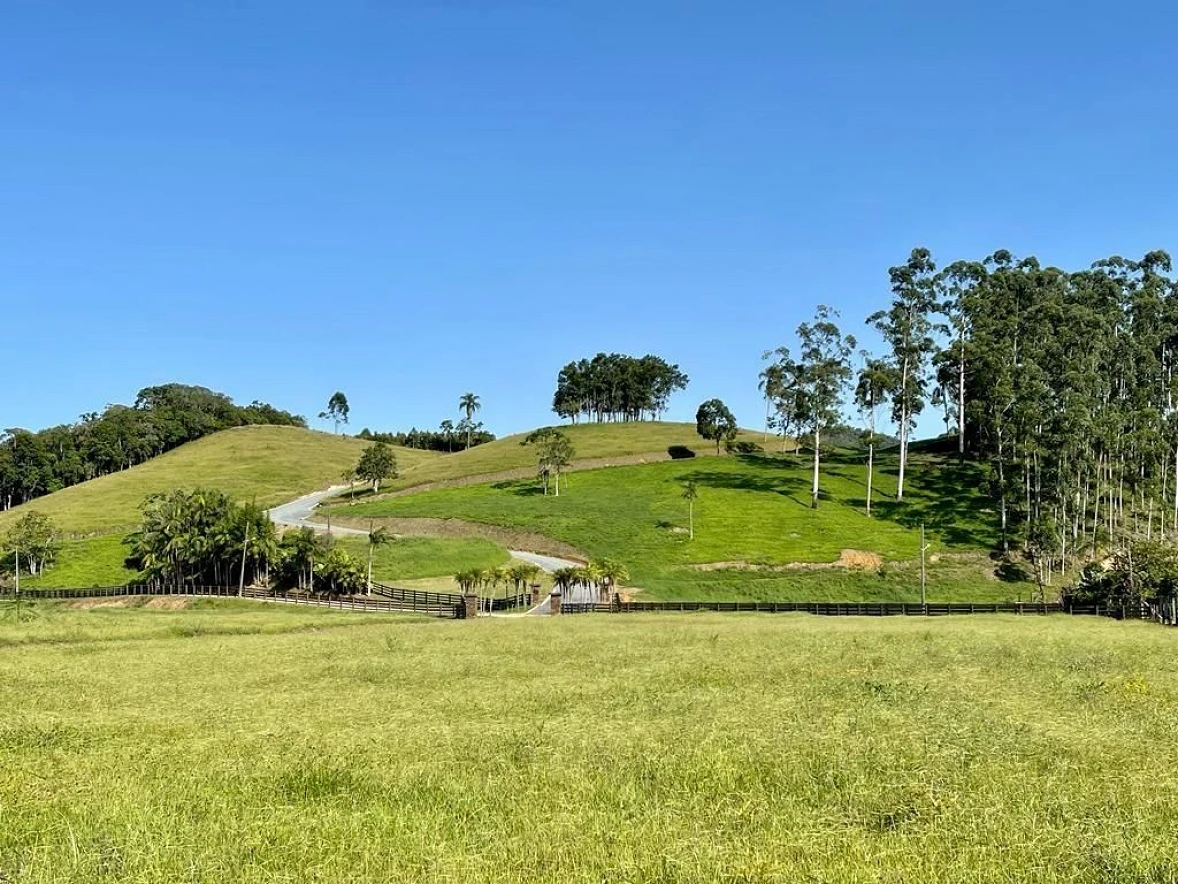Terreno à Venda - São João Batista - São João Batista/SC - Foto 20