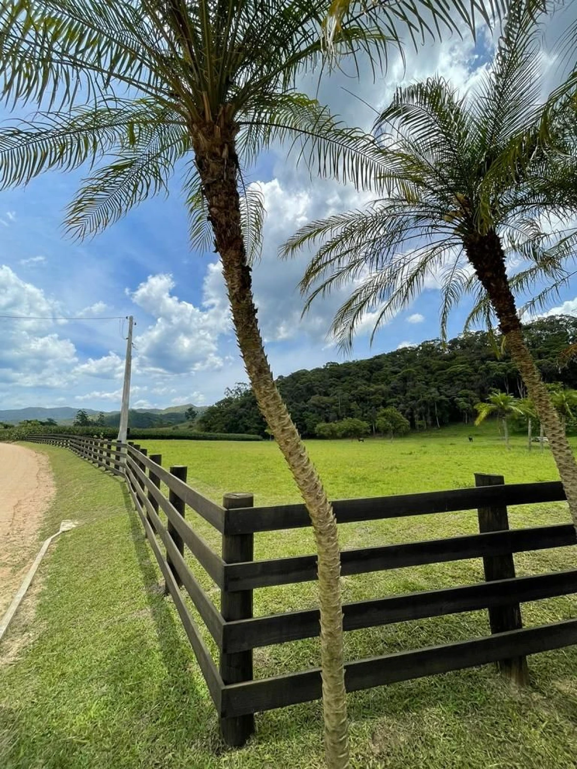 Terreno à Venda - São João Batista - São João Batista/SC - Foto 22