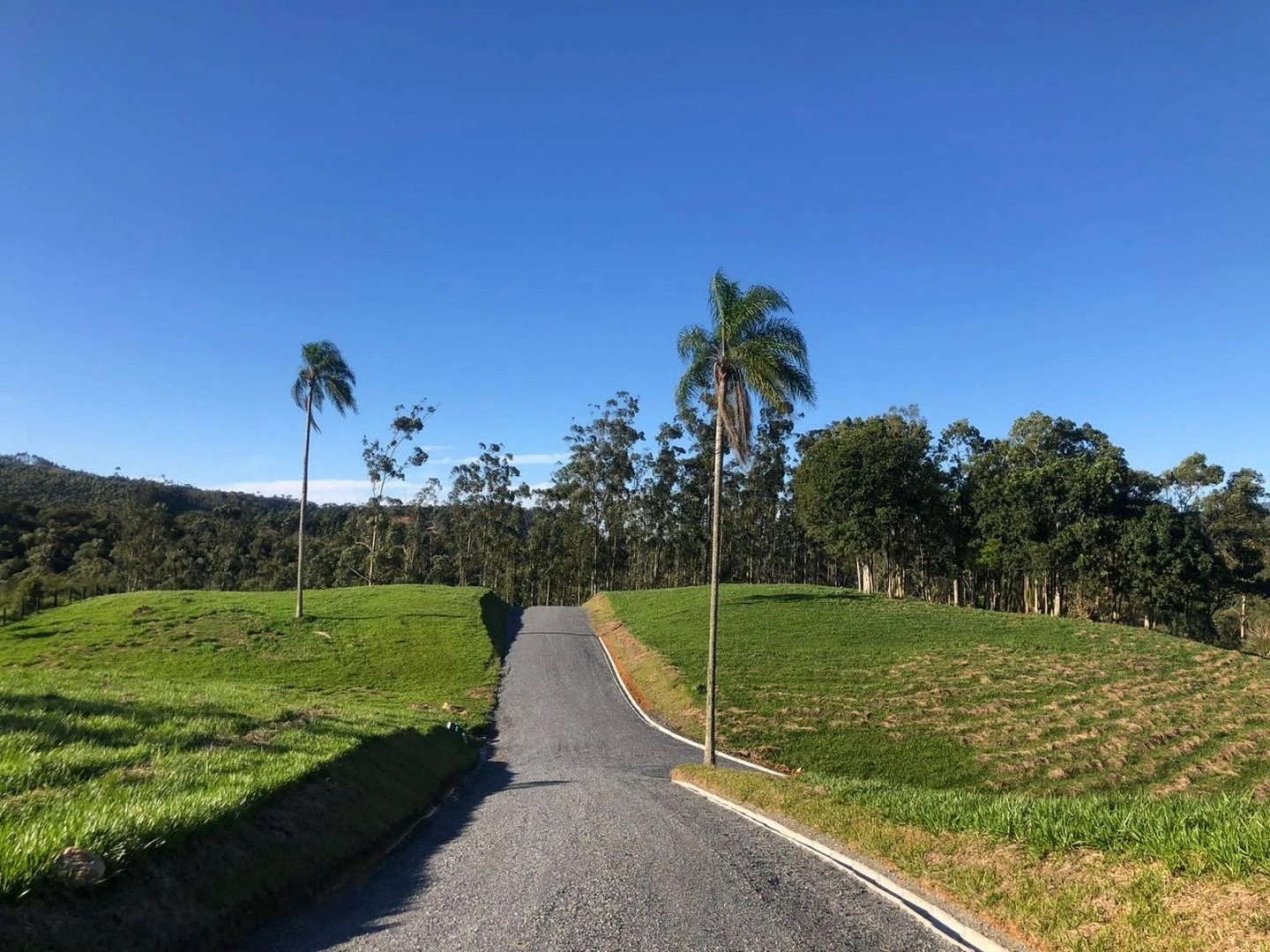 Terreno à Venda - São João Batista - São João Batista/SC - Foto 27