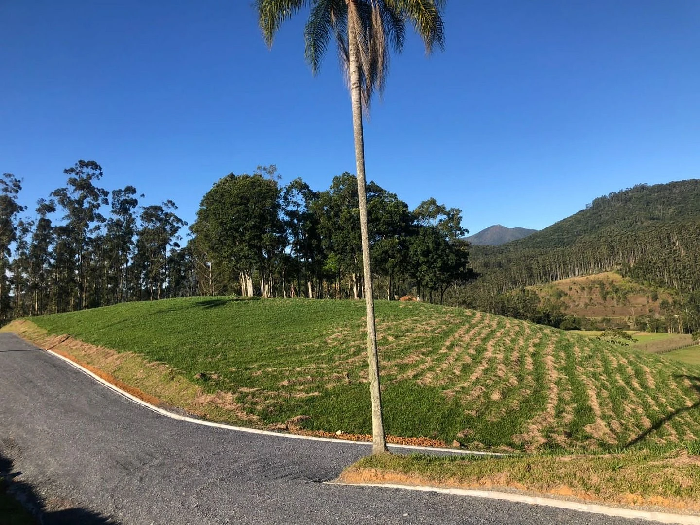 Terreno à Venda - São João Batista - São João Batista/SC - Foto 28