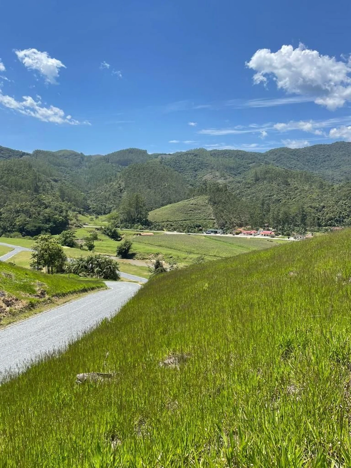 Terreno em Tijipio, São João Batista