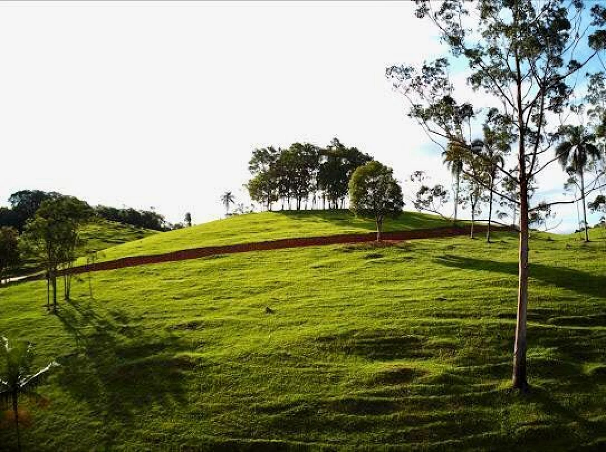 Terreno à Venda - São João Batista - São João Batista/SC - Foto 36