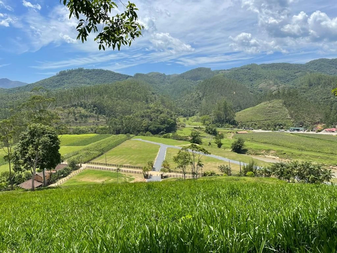 Terreno à Venda - São João Batista - São João Batista/SC - Foto 38