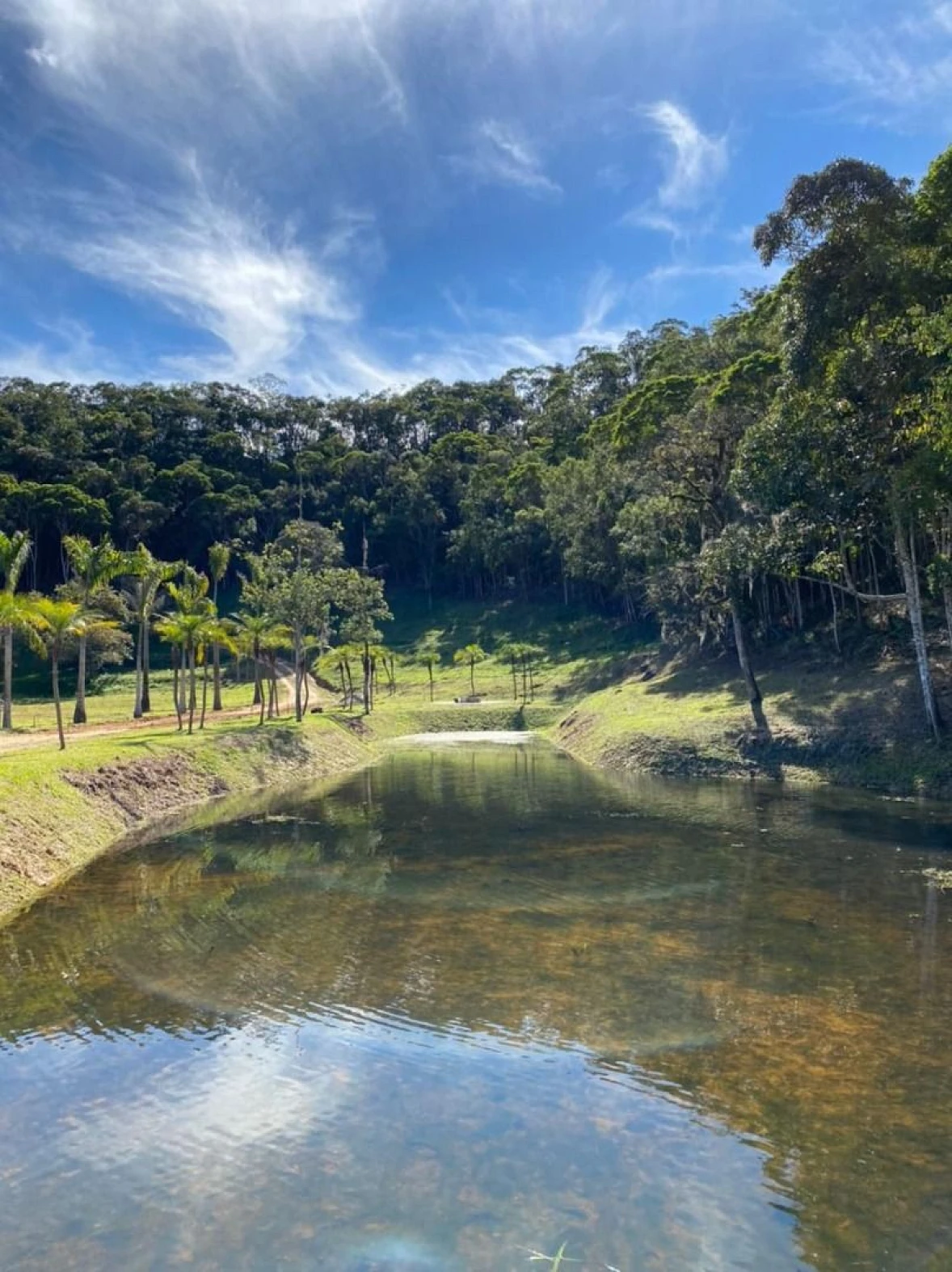 Terreno em Tijipio, São João Batista