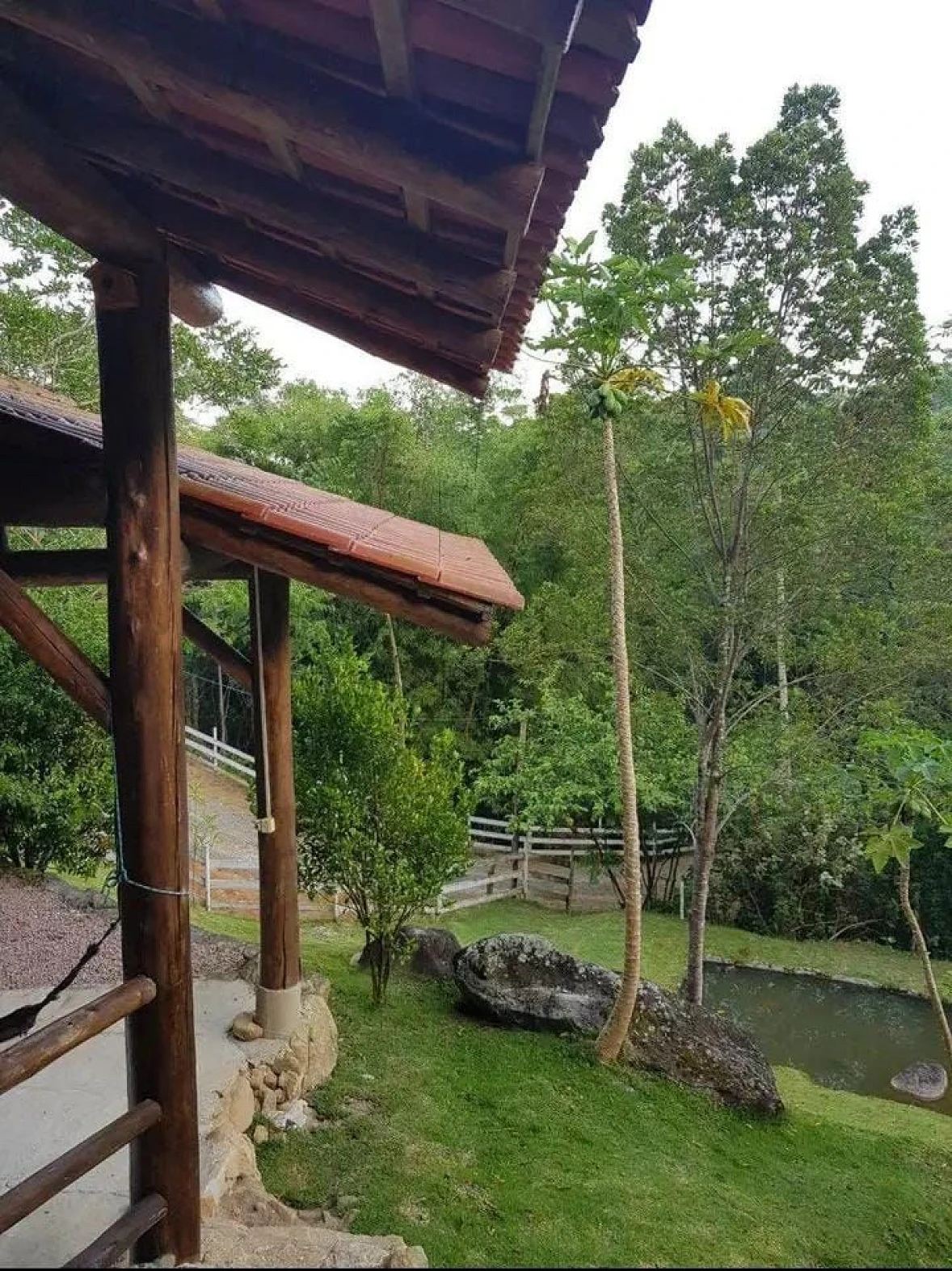 Chácara  em Canelinha/SC - Foto 11