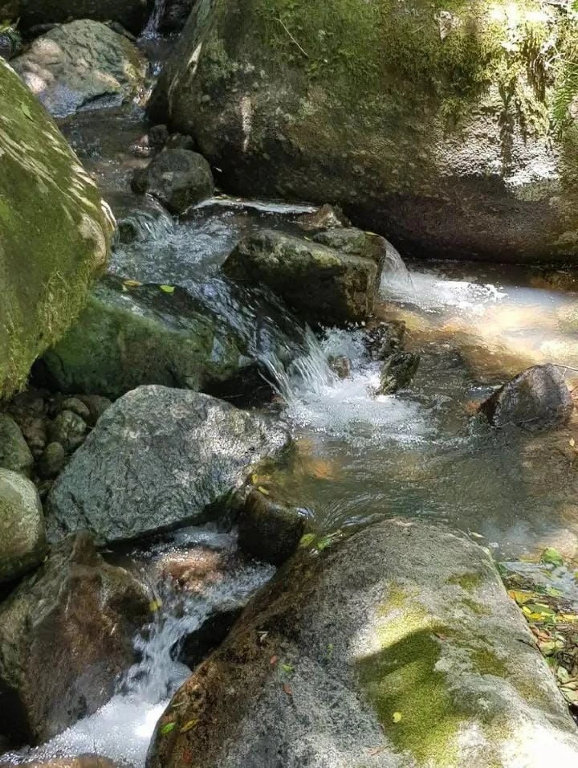 Chácara  em Canelinha/SC - Foto 12