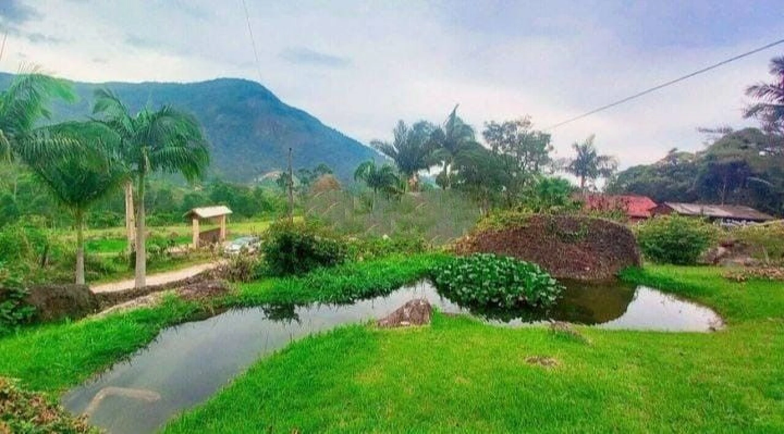 Chácara  em Canelinha/SC - Foto 15