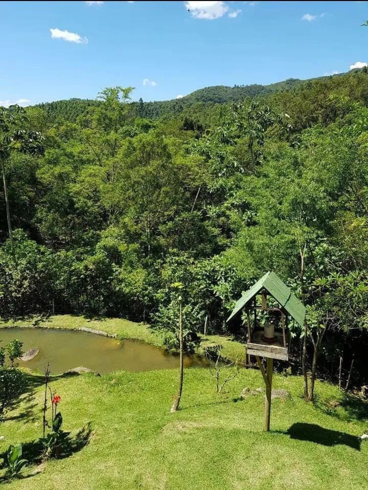 Chácara  em Canelinha/SC - Foto 17