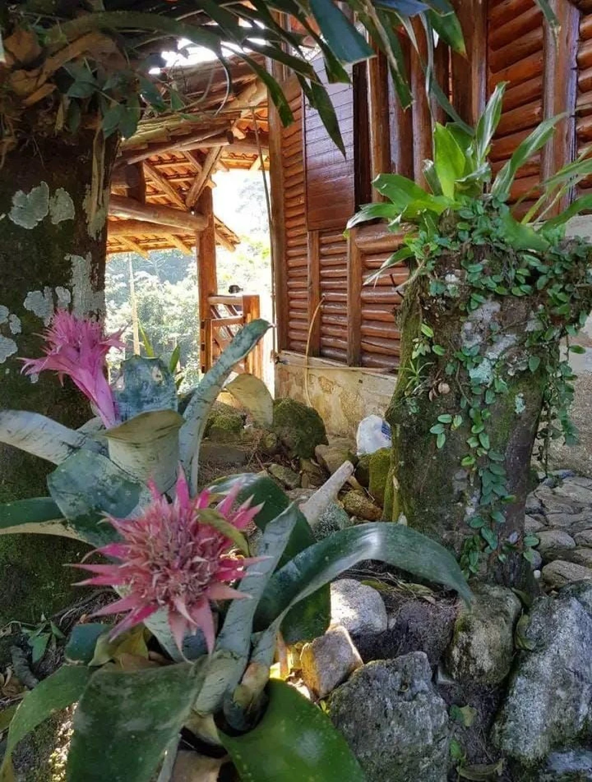 Chácara  em Canelinha/SC - Foto 8