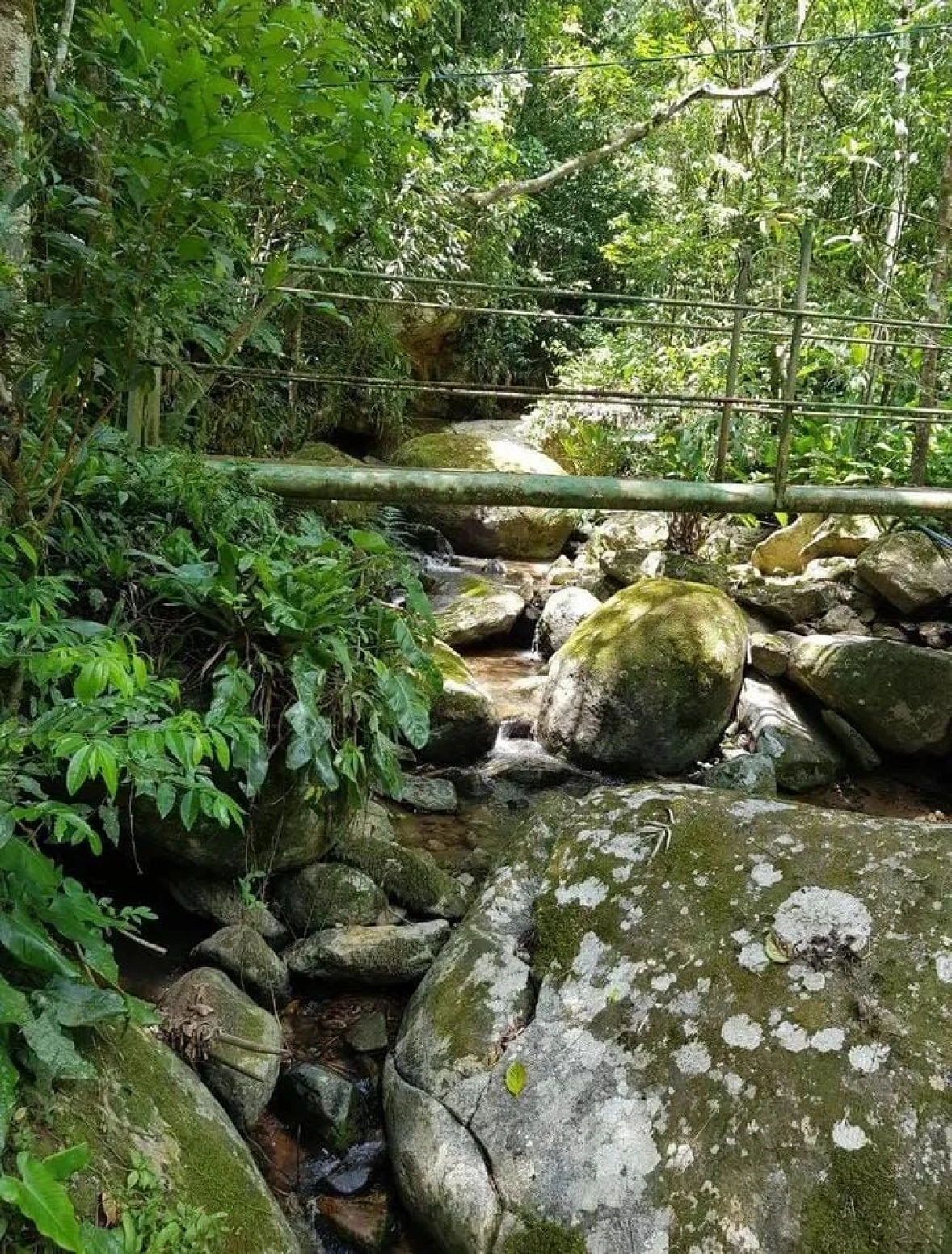 Chácara  em Canelinha/SC - Foto 9