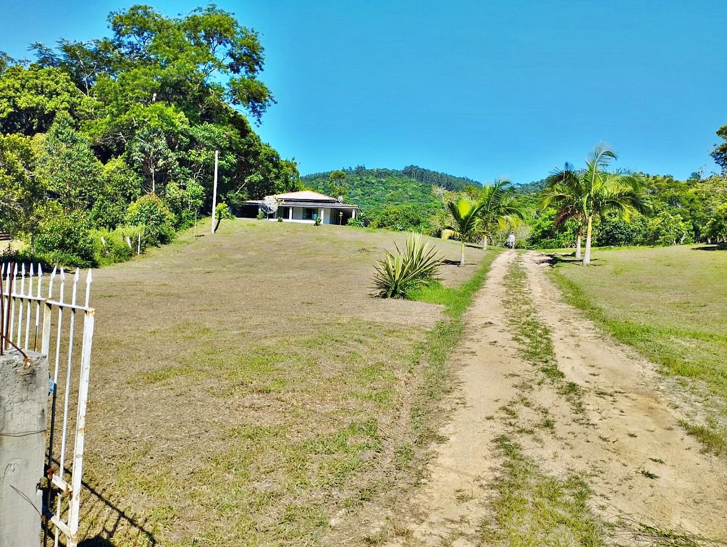 Sítio em Florestal, Imaruí