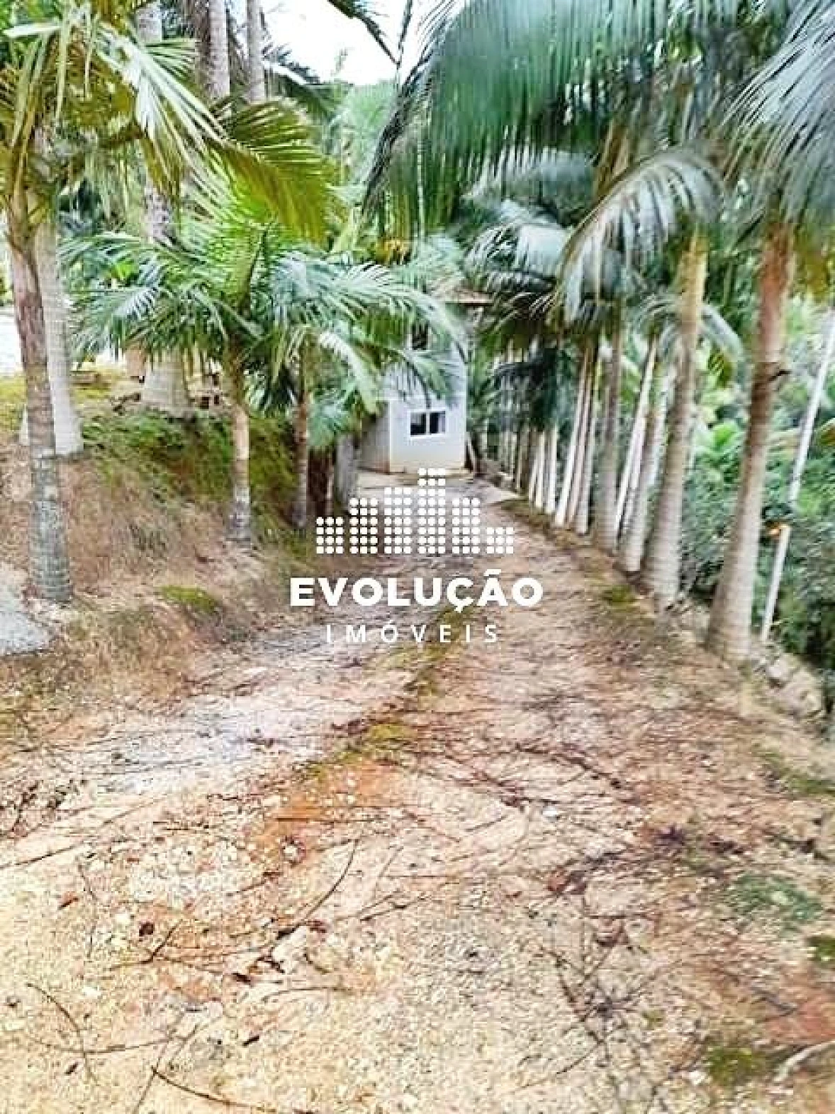 Chácara em Santa Tereza, São Pedro de Alcântara