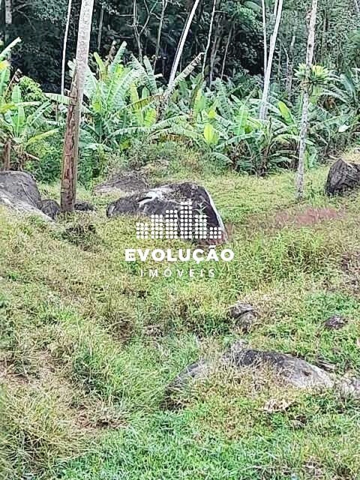 Chácara em Santa Tereza, São Pedro de Alcântara