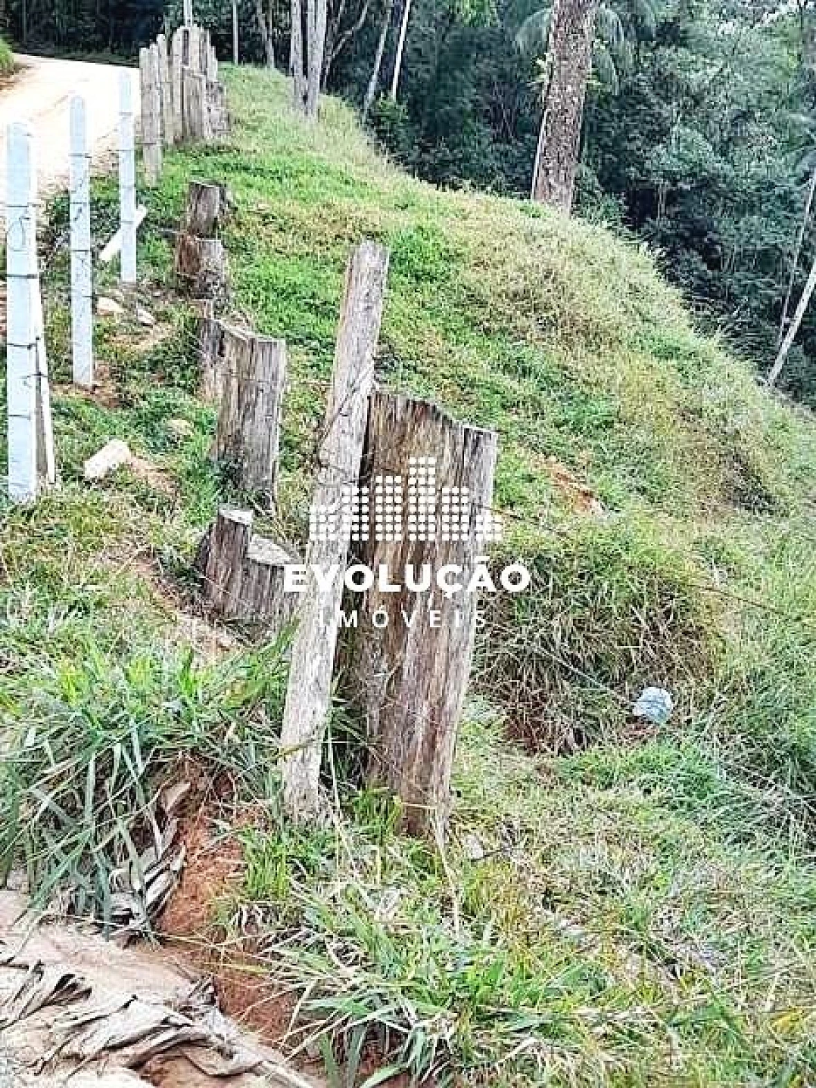 Chácara com 4 Dormitórios à Venda, 19000 m² por R$ 900.000,00 - Centro - São Pedro de Alcântara/SC - Foto 6