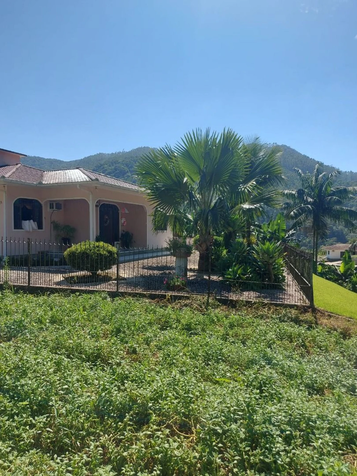 Chácara com Casa - Centro - Antônio Carlos/SC - Foto 14