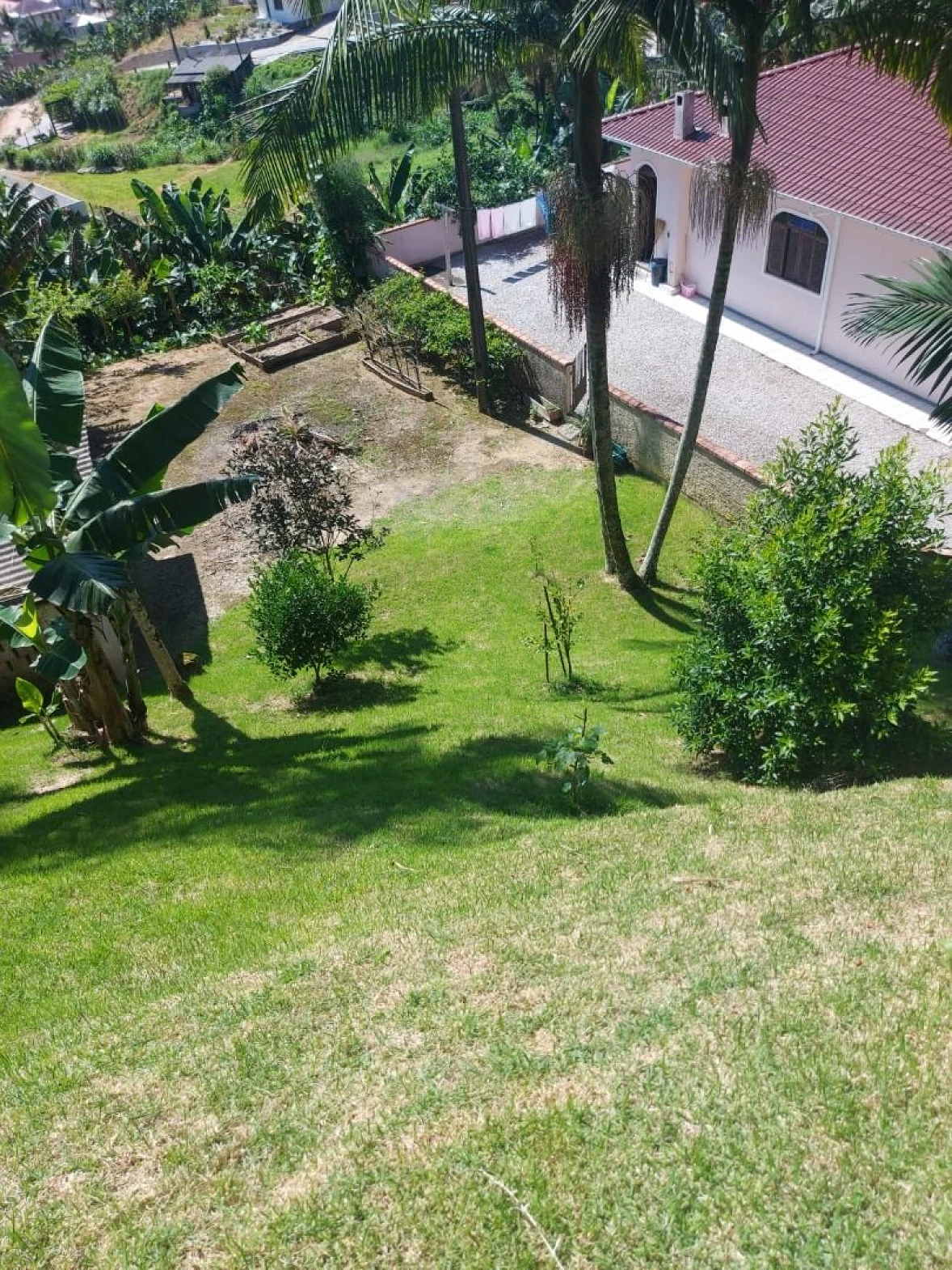 Chácara com Casa - Centro - Antônio Carlos/SC - Foto 20