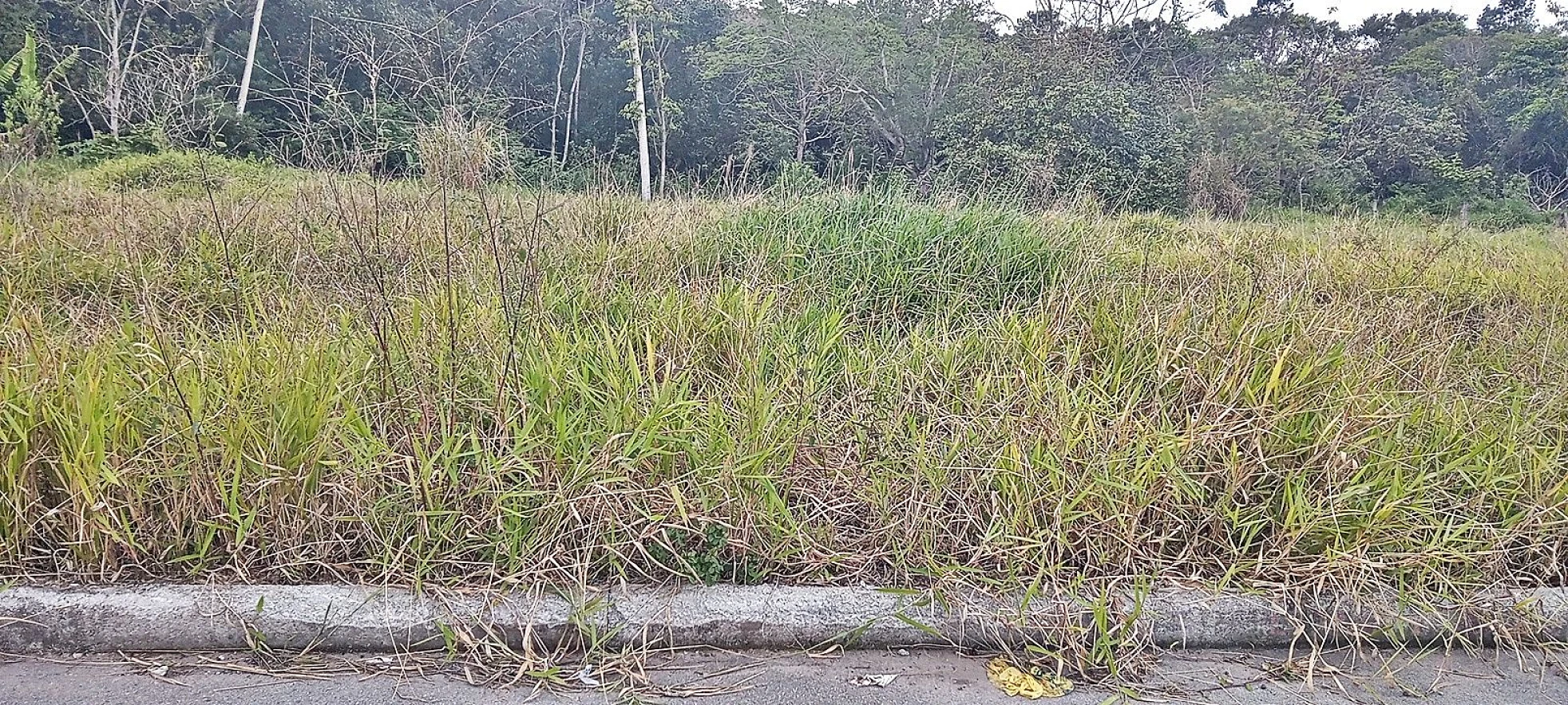 Terreno 360m², Bairro Nova São José - Foto 6